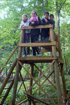 Waldjugendspiele 6a